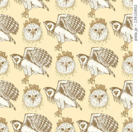 Sketch harpia eagle head in vintage style Sketch harpia eagle head in vintage style 13610802