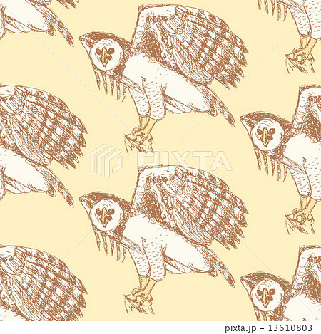 Sketch harpia eagle head in vintage style Sketch harpia eagle head in vintage style 13610803