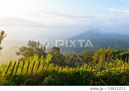 Viewpoint Doi Ang Khang mountains in Chiang Mai province of Thai 13611221