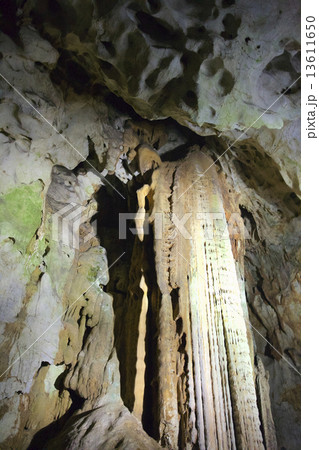 秋芳洞の黄金柱 秋芳洞の黄金柱 13611650