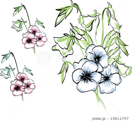 Pansy bouquet Pansy bouquet 13611747