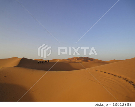 サハラ砂漠（ラクダツアー） 13612388