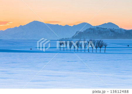 新潟県小千谷市　雪田のハサ木と越後三山の夜明け 13612488