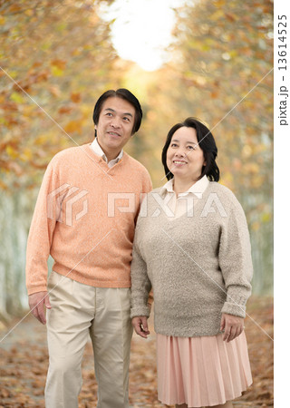 秋の並木道を散歩する中年のカップル 秋の並木道を散歩する中年のカップル 13614525