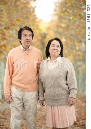 秋の並木道を散歩する中年のカップル 秋の並木道を散歩する中年のカップル 13614526
