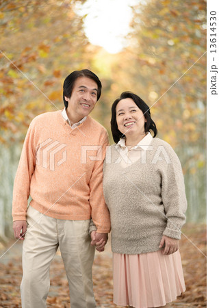 秋の並木道を散歩する中年のカップル 13614530