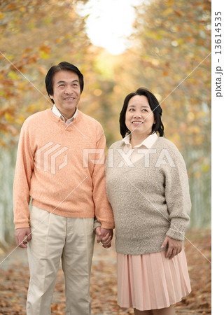 秋の並木道を散歩する中年のカップル 秋の並木道を散歩する中年のカップル 13614535