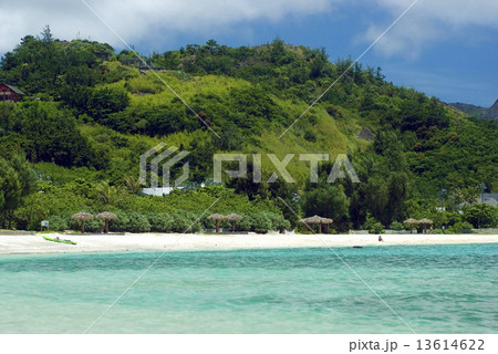 Ogasawara Islands, Japan 13614622