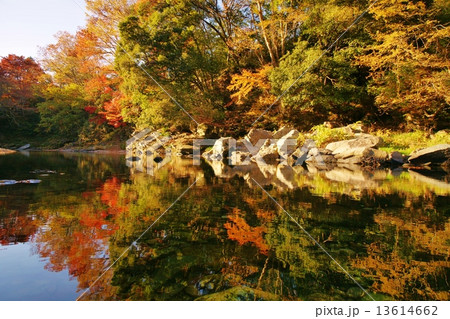 嵐山渓谷の紅葉の写真素材