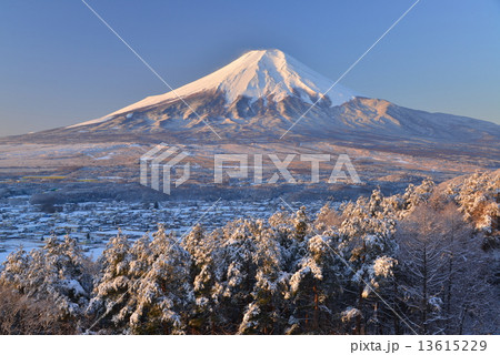 高座山から忍野村の雪景色と富士山 13615229