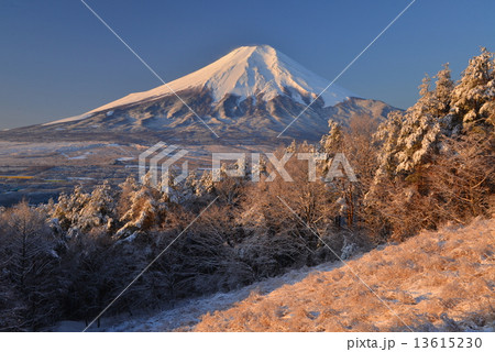 高座山から忍野村の雪景色と富士山 13615230