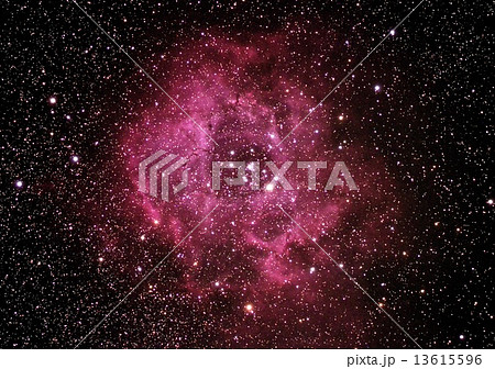 バラ星雲 13615596