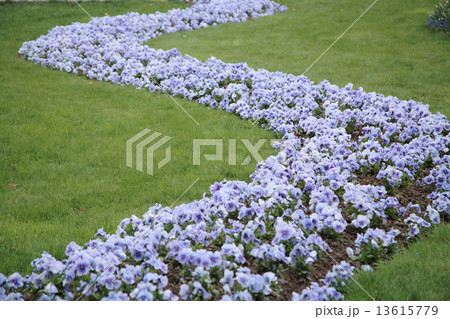 フランス 公園の花壇の写真素材