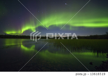 オーロラと流星 オーロラと流星 13616519