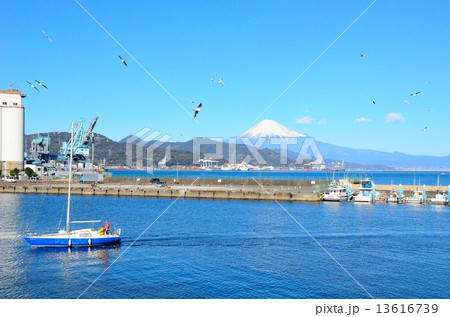 富士の見える風景～清水マリンパークより望む 13616739