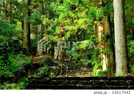鳳来寺の参道 鳳来寺の参道 13617042