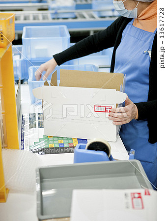 梱包作業 13617728