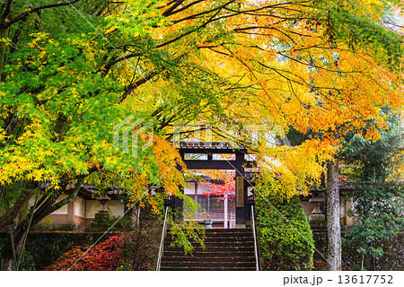 紅葉の長泉寺 紅葉の長泉寺 13617752