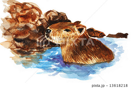 capybara15122pix7 capybara15122pix7 13618218