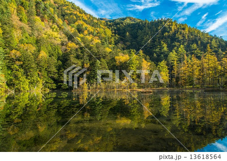 上高地の紅葉 13618564