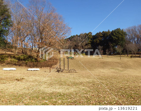 小山田緑地・運動広場にて(東京都町田市) 小山田緑地・運動広場にて(東京都町田市) 13619221
