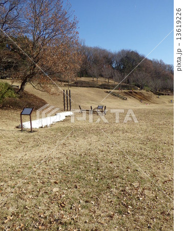 小山田緑地・運動広場にて(東京都町田市) 小山田緑地・運動広場にて(東京都町田市) 13619226