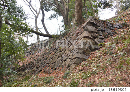 唐沢山城　本丸石垣 13619305