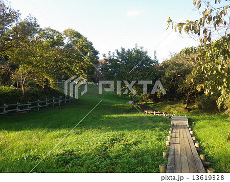 小山田緑地(大久保分園)東京都町田市 小山田緑地(大久保分園)東京都町田市 13619328