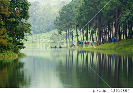 Morning atmosphere campsite on a lake in the pine forest Morning atmosphere campsite on a lake in the pine forest 13619364