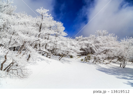 御在所岳山頂の樹氷 13619512