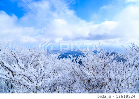 御在所岳山頂の樹氷 御在所岳山頂の樹氷 13619524