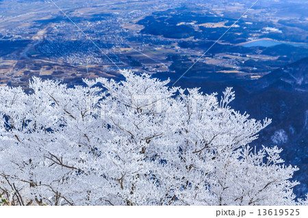 御在所岳山頂の樹氷 13619525