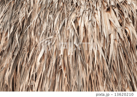 Roof made of palm leaves, background texture 13620210