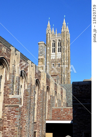 Princeton University Princeton University 13620759