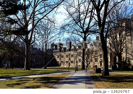 Princeton University 13620767