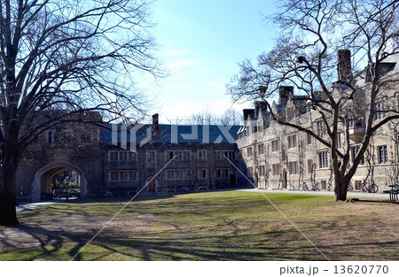 Princeton University 13620770