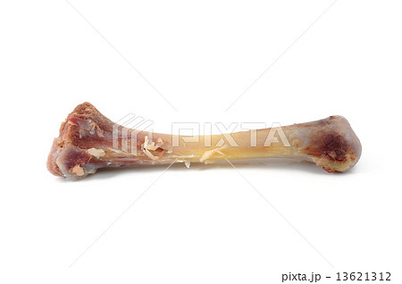 Chicken leg bones 13621312