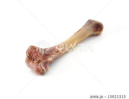 Chicken leg bones Chicken leg bones 13621313