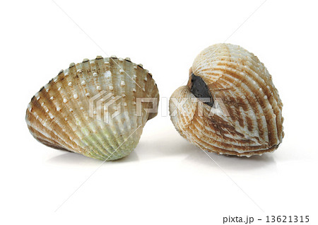 cockles cockles 13621315