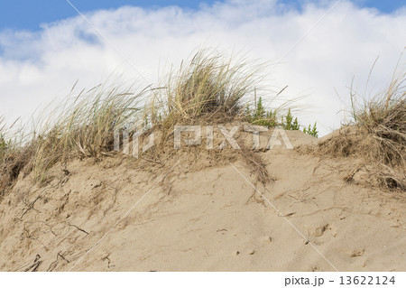 beach sand dunes against sky 13622124