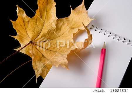 The writing subjects necessary The writing subjects necessary 13622354