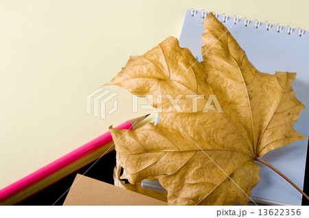 The writing subjects necessary The writing subjects necessary 13622356