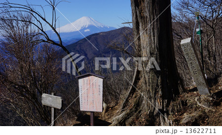 大山登山中の富士山 大山登山中の富士山 13622711
