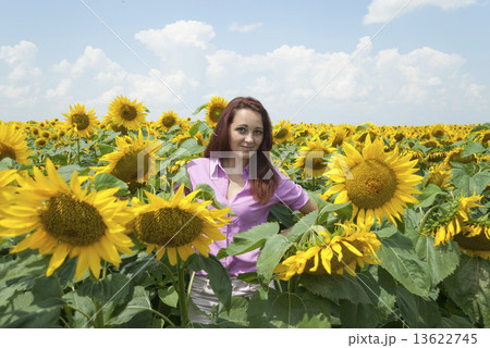 Beautiful girl in a field of sunflowers. Beautiful girl in a field of sunflowers. 13622745