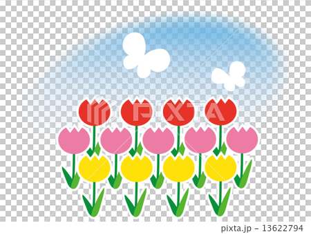 Butterflies and tulips Butterflies and tulips 13622794