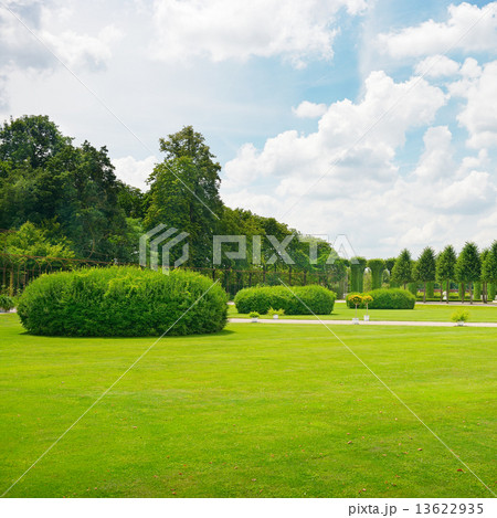 Beautiful meadow in the park 13622935