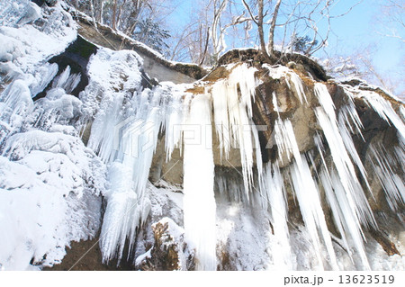 結氷の七条大滝 結氷の七条大滝 13623519