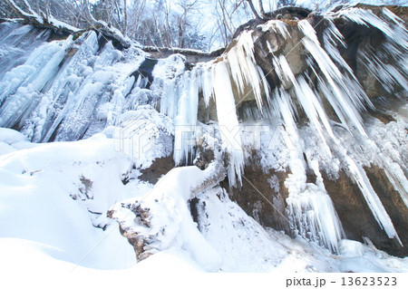 結氷の七条大滝 結氷の七条大滝 13623523