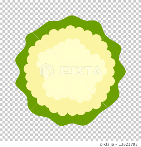 カリフラワー 13623798