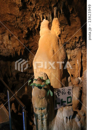 沖縄 石垣島鍾乳洞内のトトロ鍾乳石 沖縄 石垣島鍾乳洞内のトトロ鍾乳石 13623949